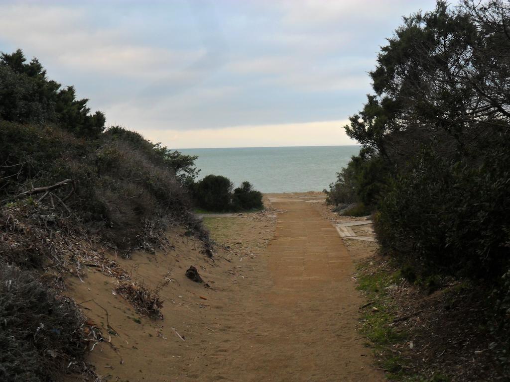 לינה וארוחת בוקר סן וינצ'נזו Locanda Oceano Mare מראה חיצוני תמונה