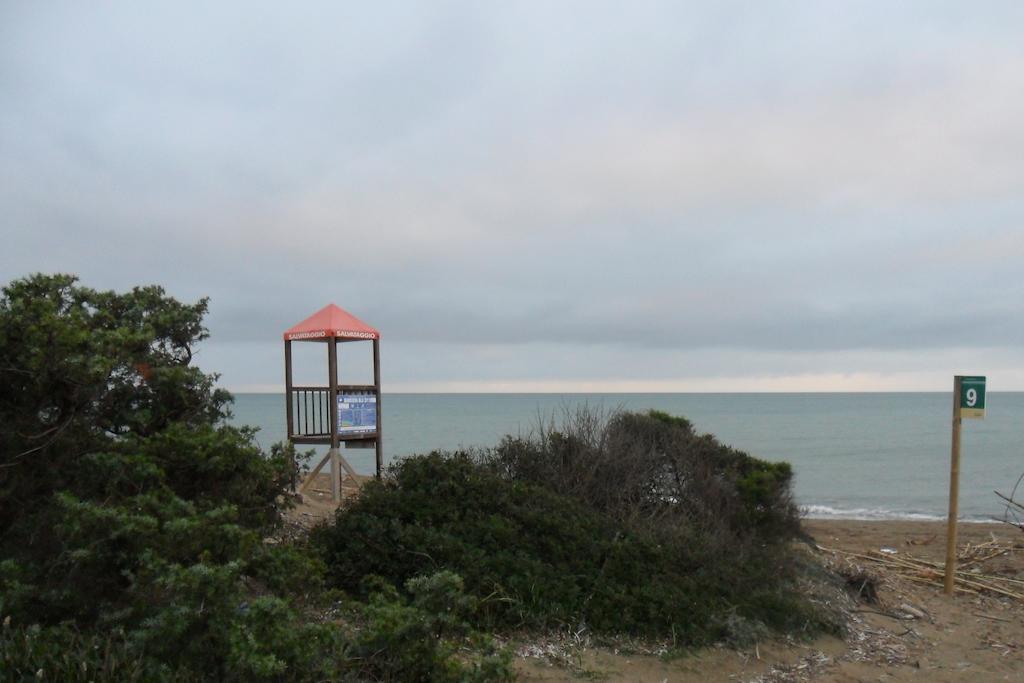 לינה וארוחת בוקר סן וינצ'נזו Locanda Oceano Mare מראה חיצוני תמונה